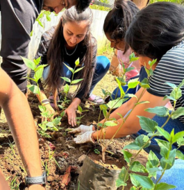 Online IELTS Coaching